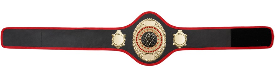 WRESTLING BELT-PRO286/G/WRESTGEMG-10+ COLOURS